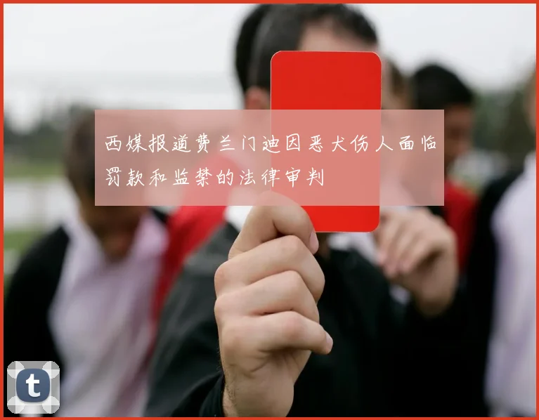 西媒报道费兰门迪因恶犬伤人面临罚款和监禁的法律审判